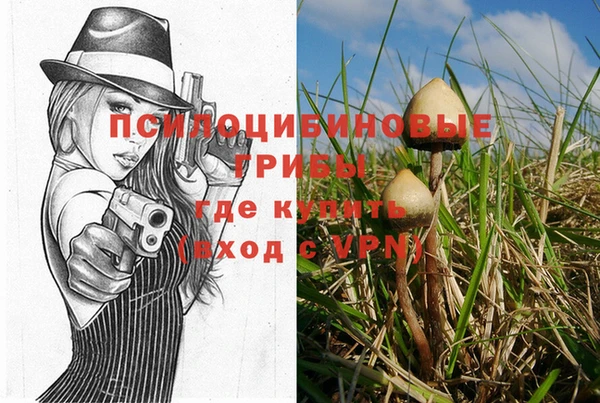 шишки Наволоки